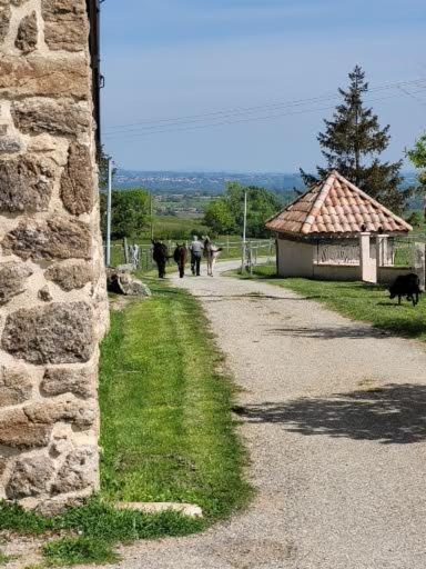 Ferme De La Combe Bed and Breakfast Saint-Jeure-d'Ay Eksteriør billede